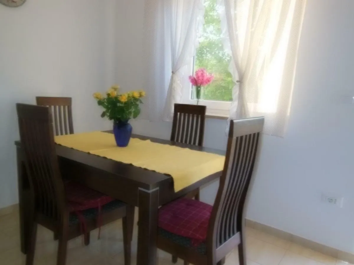 Villa Kamelija Fažana Croazia
